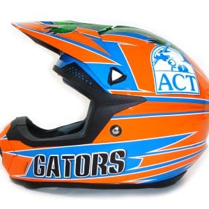 Florida Gators Helmet Painting 1