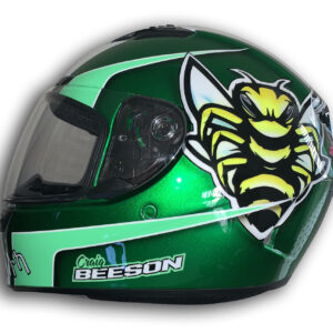 Wolf Custom Painted Helmet